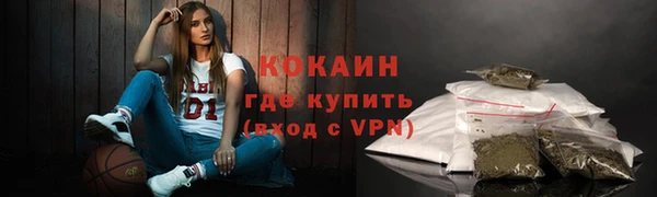 прущий лед Вяземский