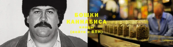 прущий лед Вяземский