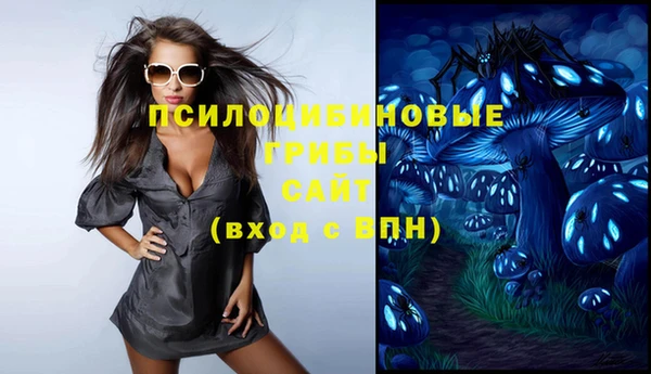 твердый Осташков