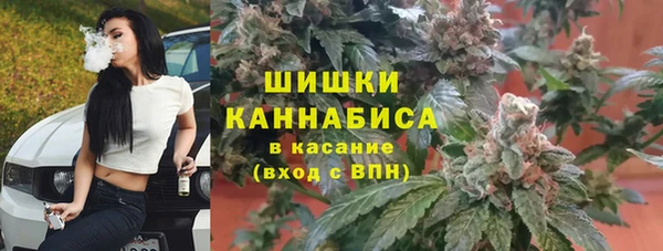 прущий лед Вяземский