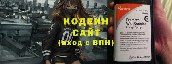 прущий лед Вяземский