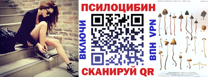 где можно купить   Железногорск  omg   Галлюциногенные грибы GOLDEN TEACHER 