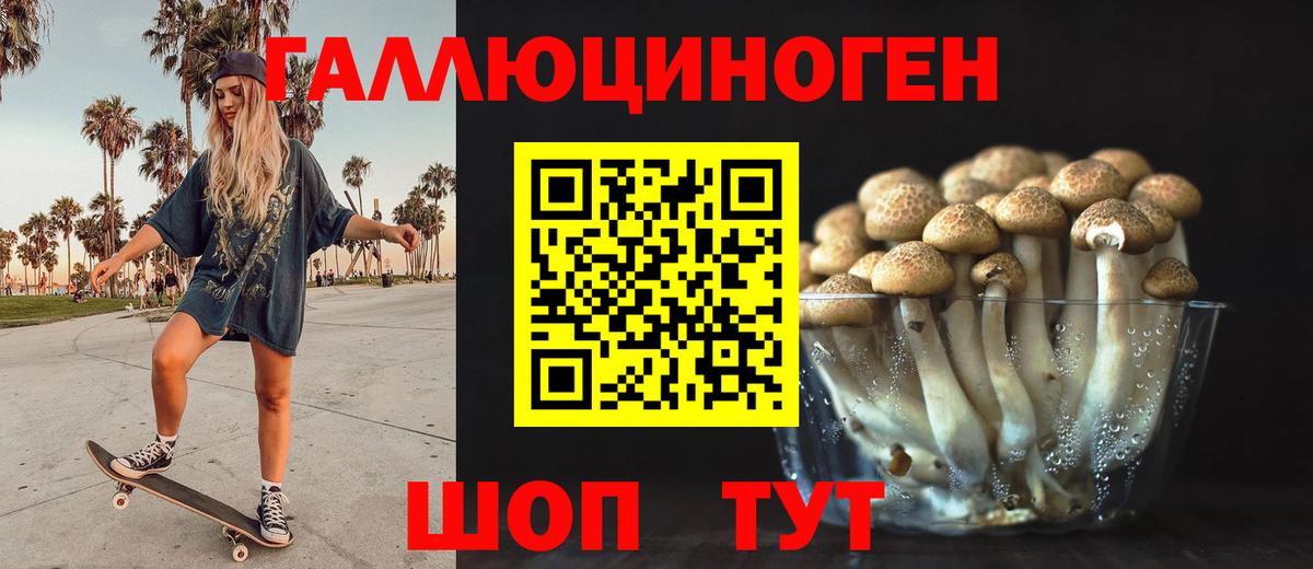Галлюциногенные грибы Cubensis  Псилоцибиновые грибы Psilocybe  Железногорск  Вход с VPN 